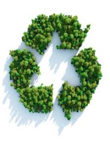 Eco Responsables