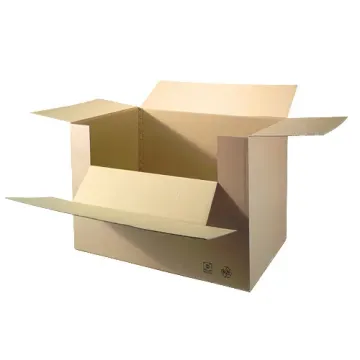 Container Carton avec abattant