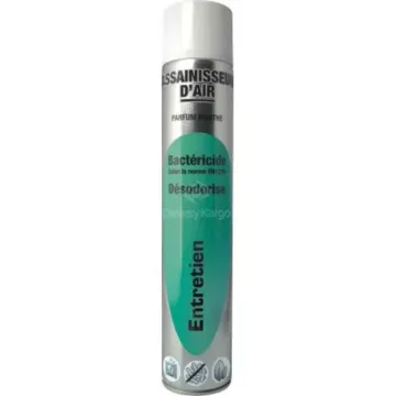 Désodorisant bactericide menthe aérosol 750ml
