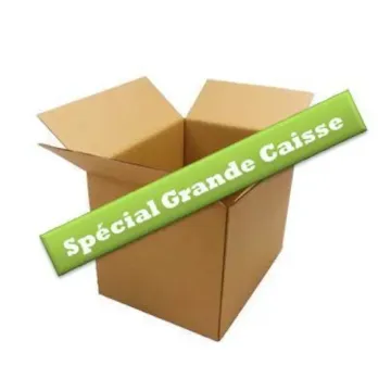 Grand carton d'expédition