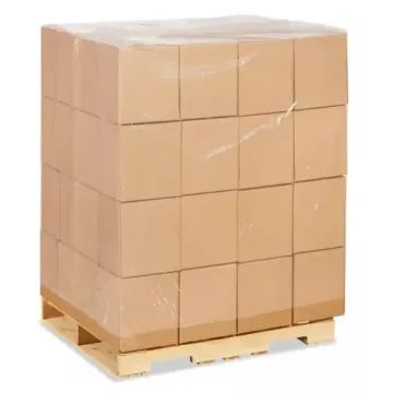 Coiffe Palette Plastique