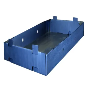 Plateau Traiteur