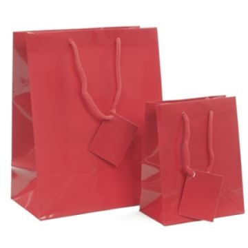 Sac kraft pelliculé brillant